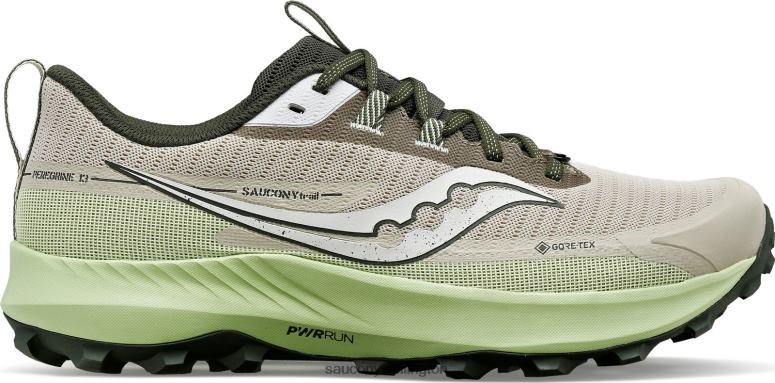 Saucony Men Peregrine 13 GTX Dust/Umbra 0066X112