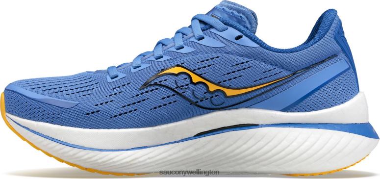 Saucony Women Endorphin Speed 3 Horizon/Gold 0066X517