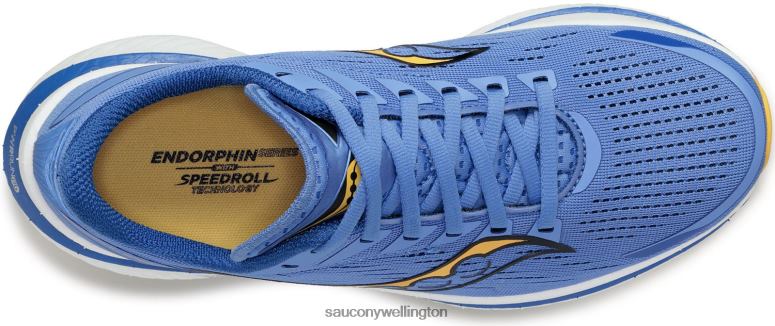 Saucony Women Endorphin Speed 3 Horizon/Gold 0066X517