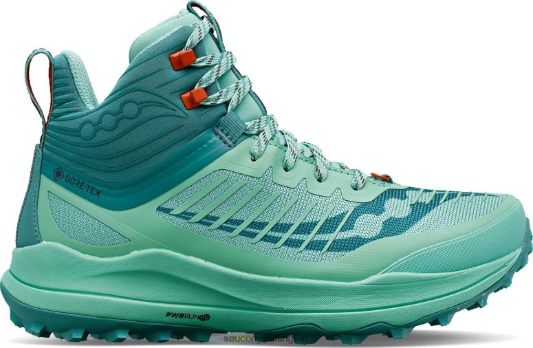 Saucony Women Ultra Ridge GTX Sprig/Moss 0066X590